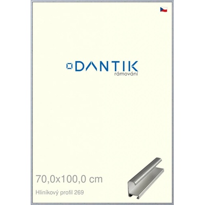 DANTIK rám na obraz 70 x 100 Sstříbrná broušená