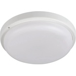 Kanlux TOLU 31498