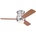 Westinghouse Halley 72181