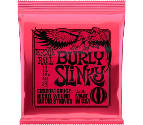 Ernie Ball 2238