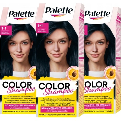 Palette Barvicí Šampon 339 Granátová Čerň x3