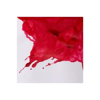 Winsor & Newton drawing INK Carmine