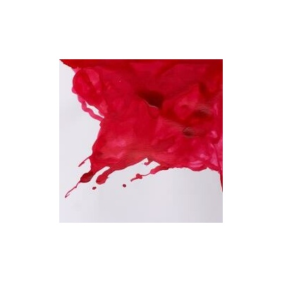 Winsor & Newton drawing INK Carmine