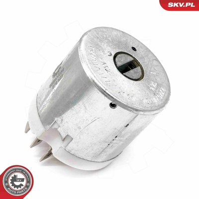 Spínač zapaľovania/štartu ESEN SKV 65SKV039