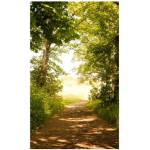 DIMEX ART Флизелинов фототапет горска пътека 150 x 250 см