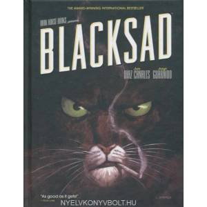 Blacksad (ISBN: 9781595823939)