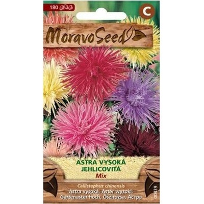 Semínka MoravoSeed Astra čínská vysoká jehlicovitá UNICUM, směs 00439