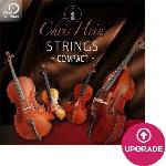 Best Service Chris Hein Strings Compact Crossgrade (Дигитален продукт)