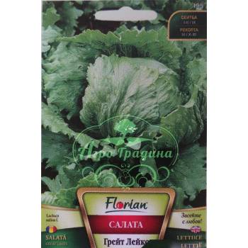 Image 1 of Флориан Салата Грейт Лейкс (тип айсберг)