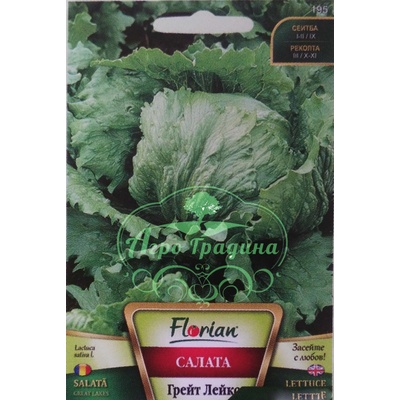 Флориан Салата Грейт Лейкс (тип айсберг)