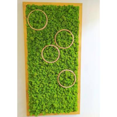 Mechový obraz- Kruhy 150cm x 75cm