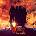 Live Fire CD