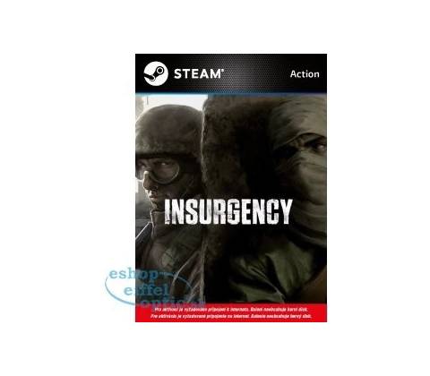 Insurgency