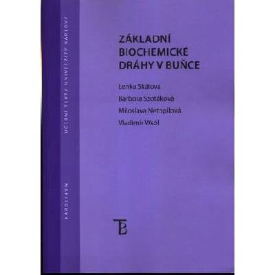 Základní biochemické dráhy v buňce
