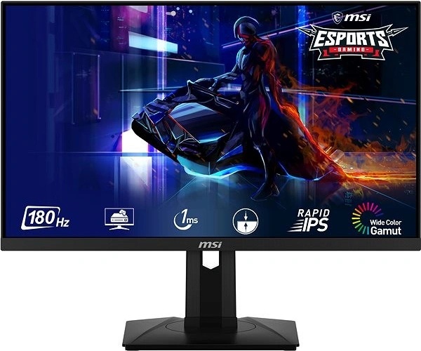 MSI G244PF E2