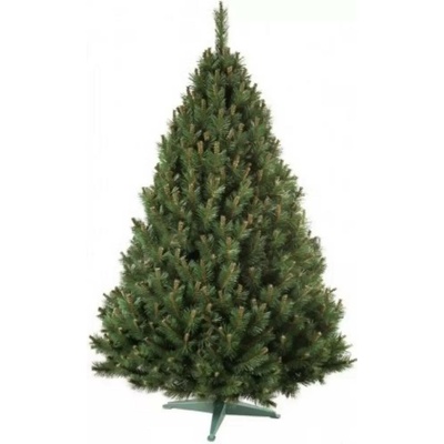 NOHEL GARDEN BOROVICE stromek vánoční umělý + stojan 160 cm 91412