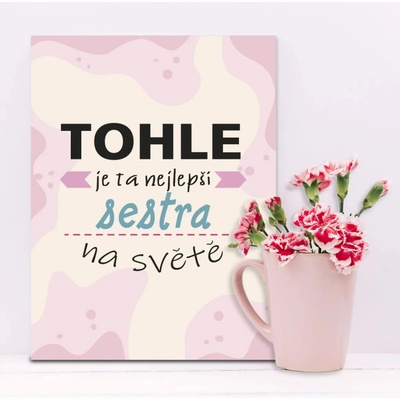 Sablio Dárková cedulka Tohle je ta nejlepší sestra na světě: 30x40 cm