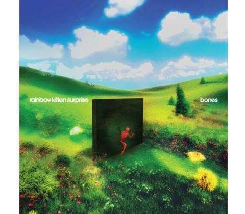 Rainbow Kitten Surprise - Bones CD
