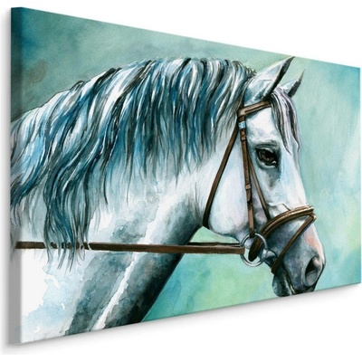 MyBestHome BOX Plátno Bílý Kůň Varianta: 90x60