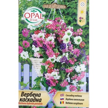Image 1 of Opal Zi Семена за каскадна Вербена