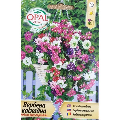 Opal Zi Семена за каскадна Вербена