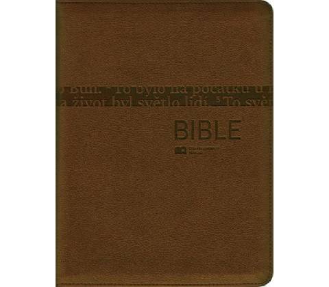 Bible 1291 bronzová