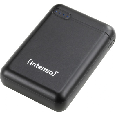 Intenso 7313530