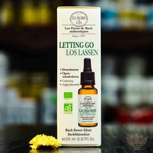 Elixirs & Co Les Fleurs de Bach kombinovaná esence Sebepoznání 20 ml