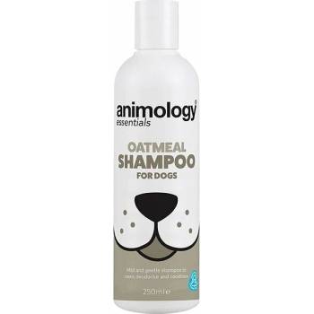 Animology Essentials Jemný šampón pre psov s ovsenými vločkami 250 ml