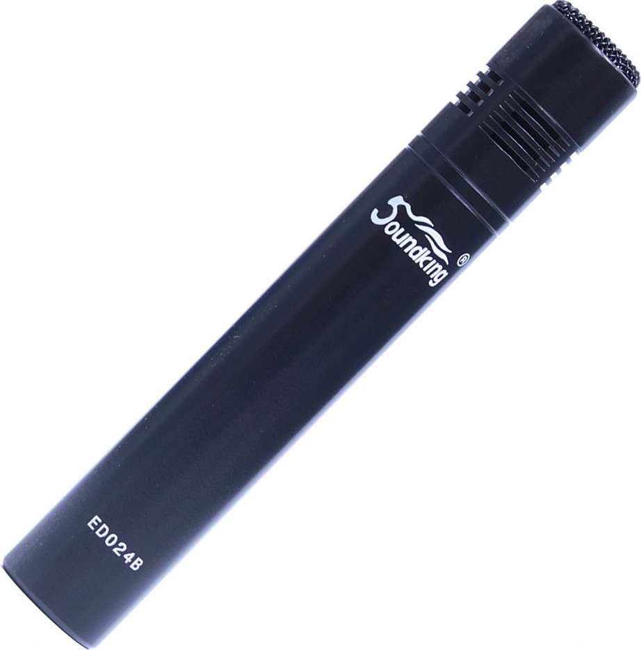 Soundking ED 024 B