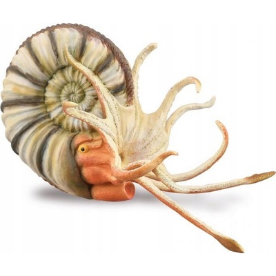 Collecta PLEUROCERAS AMONIT 88902 XL