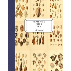 Vintage Prints: Shells: Vol. 6 | E. Lawrence (ISBN: 9781727215663)