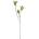 Bizzotto ИЗКУСТВЕНА КЛОНКА vickie 102cm ЗЕЛЕНА (0170746)