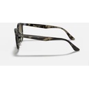 Image 1 of Ray-Ban RB4259 731/E8