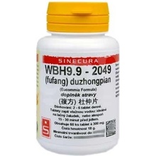 Sinecura WBH9.9 duzhongpian 60 tabliet