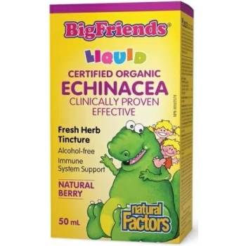 Natural Factors Big Friends Ехинацея, 1000 mg, 50 ml, Natural Factors (4729 NF)