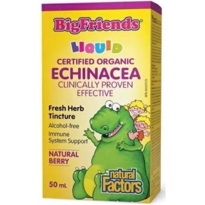 Natural Factors Big Friends Ехинацея, 1000 mg, 50 ml, Natural Factors (4729 NF)