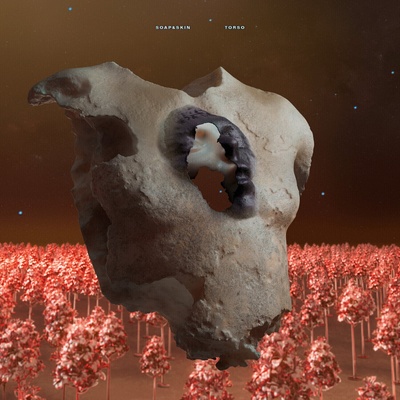 Soap & Skin - Torso (2 LP) (5400863166625)