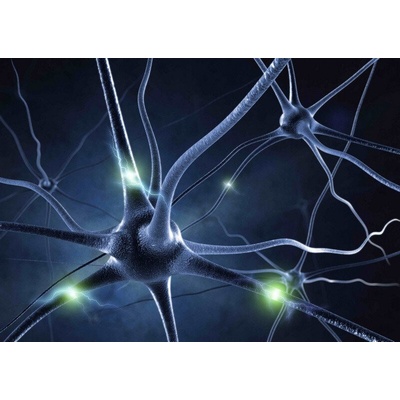 Pohlednice 3D Neuron
