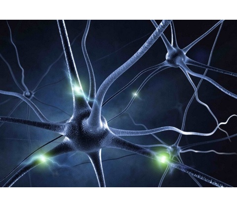 Pohlednice 3D Neuron