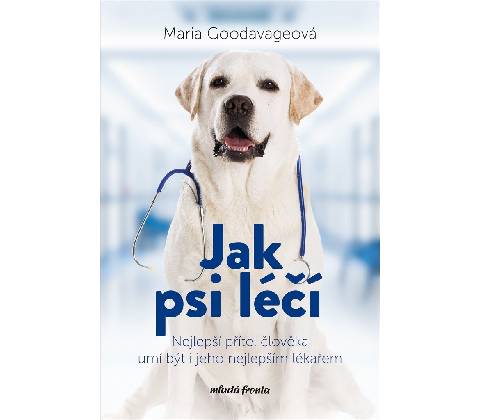 Jak psi léčí