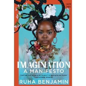 Imagination (ISBN: 9781324105015)
