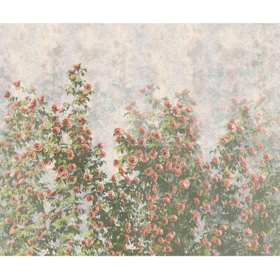Komar Vliesová fototapeta Wall Roses rozměry 300 x 250 cm