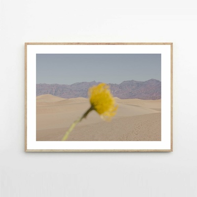 Moikka Plagát Desert Mirage by Nicole Mason 50x70 cm