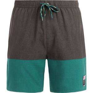 Protest Мъжки бански слипове Protest PRTCabus Swim brief - Dark Teal (050-2380-0112)