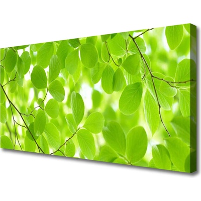 Obraz na plátně Listy Příroda 100x50 cm