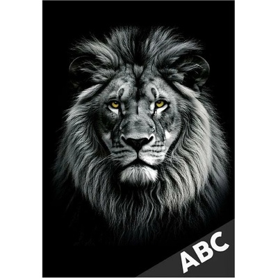 Desky na ABC Lev