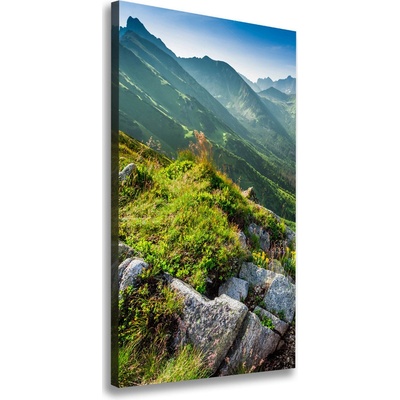 Vertikálny foto obraz na plátne do obývačky Hory letom 50x100 cm