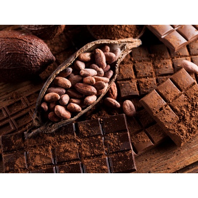 Prezentácia o čokoláde spojená s degustáciou