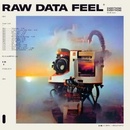 Everything Everything - Raw Data Feel Pi LP